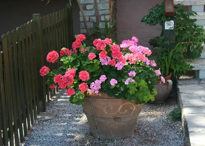Maristella Cavo